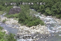 河内谷 のカメラ画像