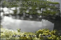 多喜尾橋 のカメラ画像