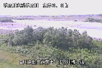 手取川橋下流 のカメラ画像
