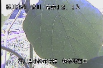 中海 のカメラ画像