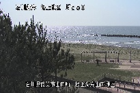 根上海岸 のカメラ画像