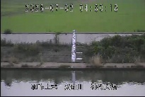 神代大橋 のカメラ画像