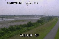 左岸朝日 のカメラ画像