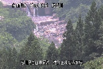 猿花 のカメラ画像