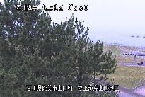 根上海岸 のカメラ画像