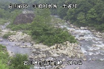 河内谷 のカメラ画像
