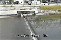 藤橋 のカメラ画像