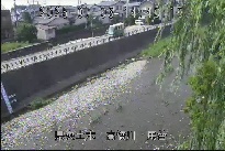 馬替 のカメラ画像