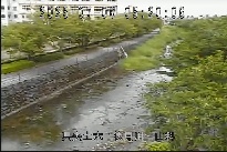 山科 のカメラ画像