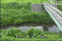 薬師 のカメラ画像