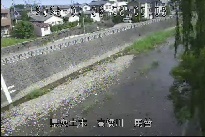 馬替 のカメラ画像