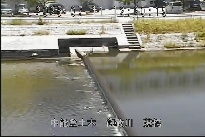 藤橋 のカメラ画像