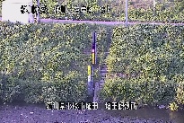 埴田 のカメラ画像