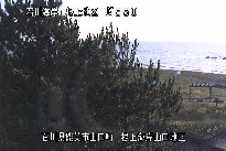 根上海岸 のカメラ画像