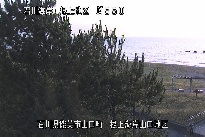 根上海岸 のカメラ画像