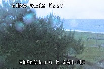 根上海岸 のカメラ画像