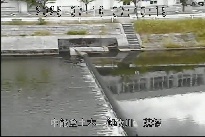 藤橋 のカメラ画像