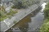 上野橋 のカメラ画像