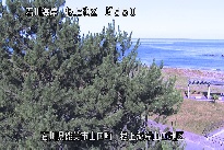 根上海岸 のカメラ画像