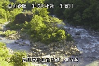 河内谷 のカメラ画像
