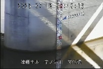 文化橋 のカメラ画像