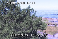 根上海岸 のカメラ画像