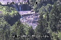 猿花 のカメラ画像