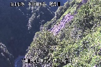 中ノ川下流 のカメラ画像