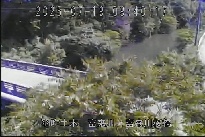 富来川桜橋 のカメラ画像