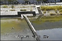 藤橋 のカメラ画像