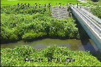 薬師 のカメラ画像