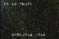 東二口 のカメラ画像