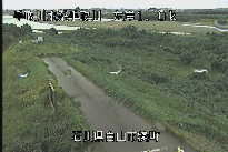 湊町 のカメラ画像