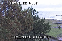 根上海岸 のカメラ画像