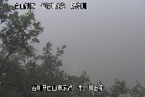 中ノ川上流 のカメラ画像