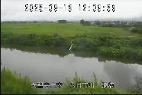 猫橋 のカメラ画像