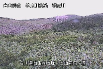 弥陀ヶ原 のカメラ画像