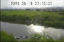 猫橋 のカメラ画像