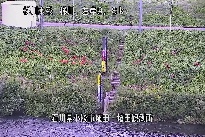 埴田 のカメラ画像