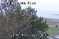 根上海岸 のカメラ画像