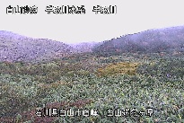 弥陀ヶ原 のカメラ画像