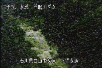 東二口 のカメラ画像
