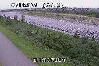 山田 のカメラ画像