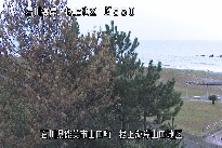 根上海岸 のカメラ画像