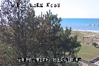 根上海岸 のカメラ画像