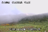 弥陀ヶ原 のカメラ画像