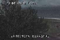根上海岸 のカメラ画像