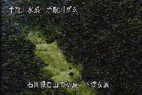 東二口 のカメラ画像
