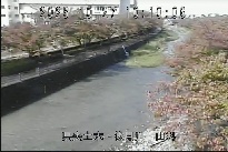 山科 のカメラ画像