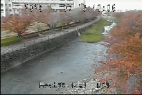 山科 のカメラ画像